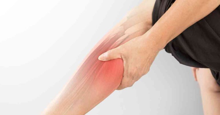 muscle pain in the leg