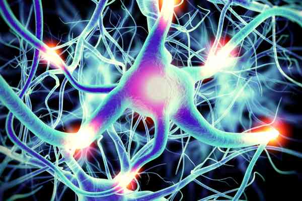 picture of nerves