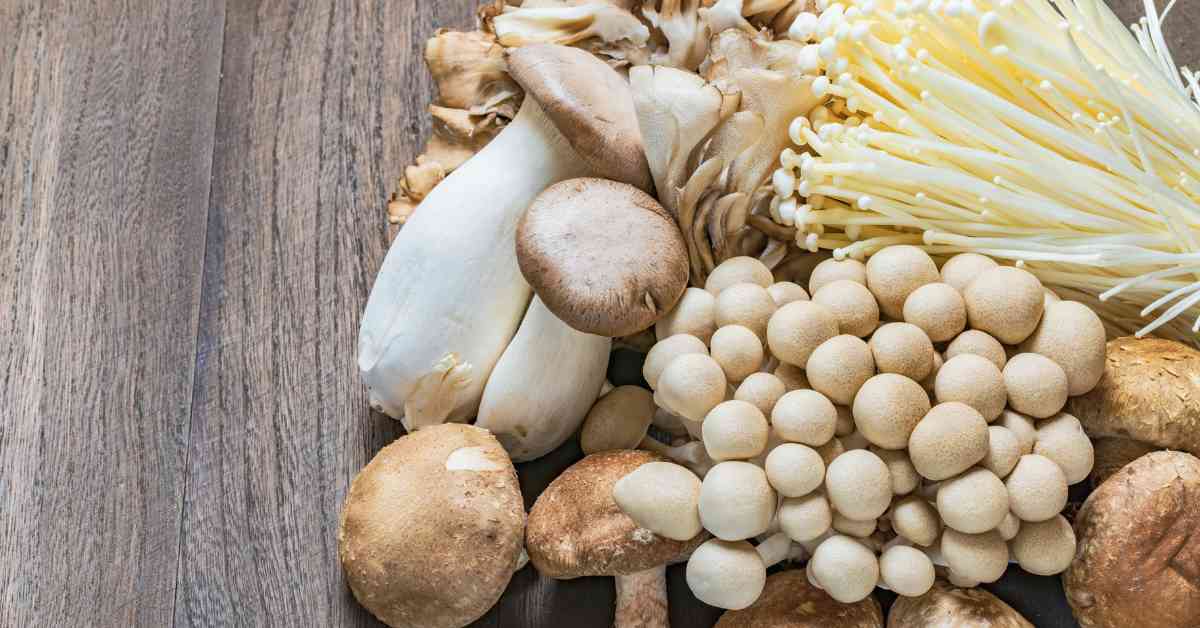 mushrooms for arthritis pain