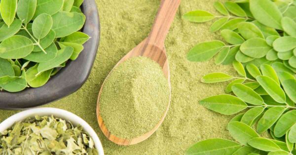 moringa for arthritis