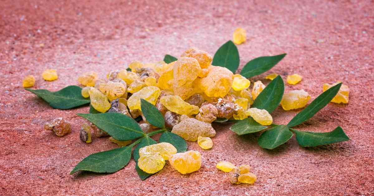 boswellia for pain relief
