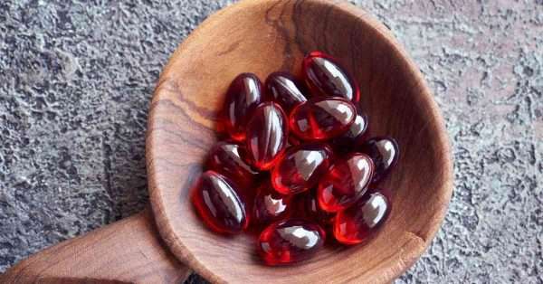 krill oil for pain relief