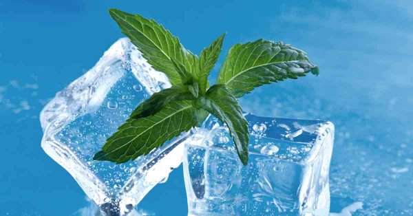 mint for pain relief