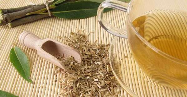Discover Willow Bark for Pain Relief