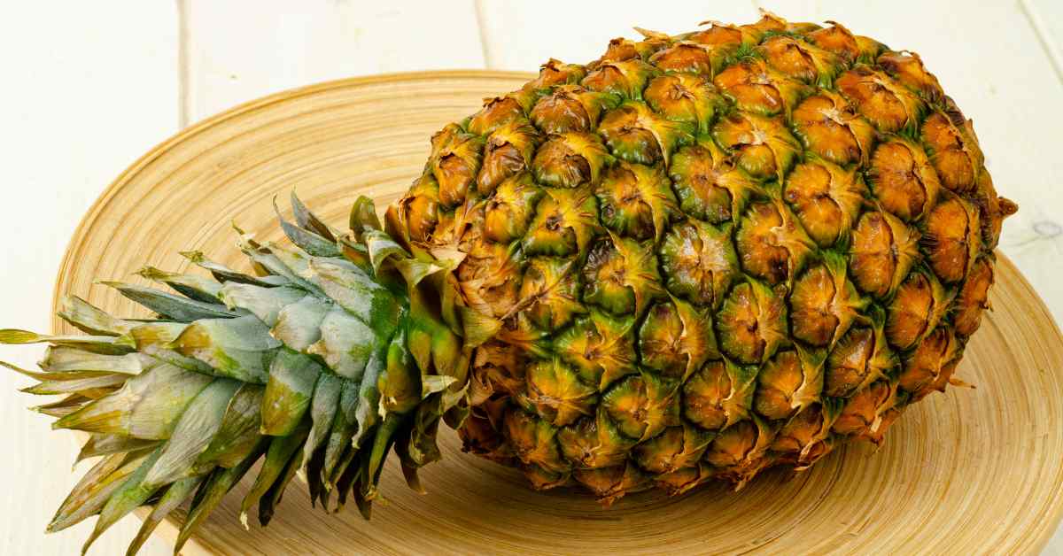 bromelain for pain relief