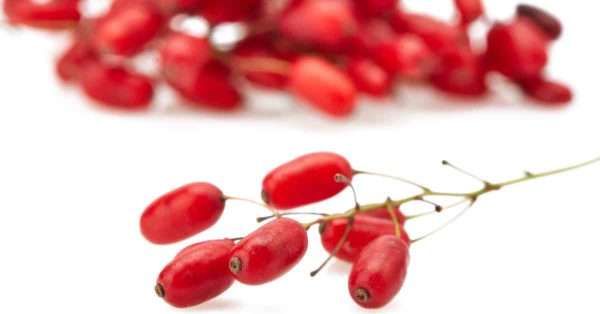 berberine for pain relief