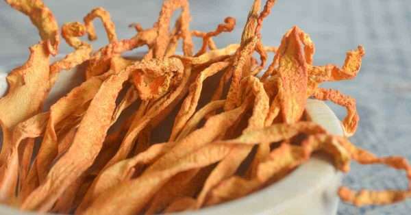 cordyceps for pain relief