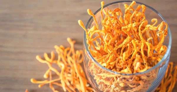 cordyceps for pain relief