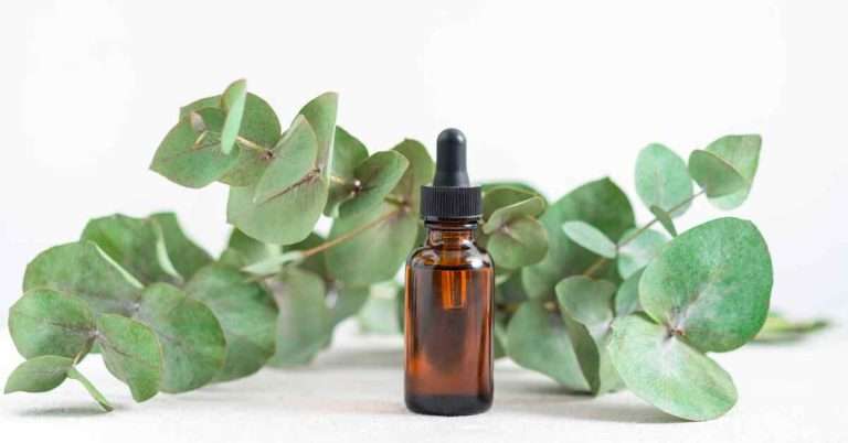 eucalyptus oil for pain relief