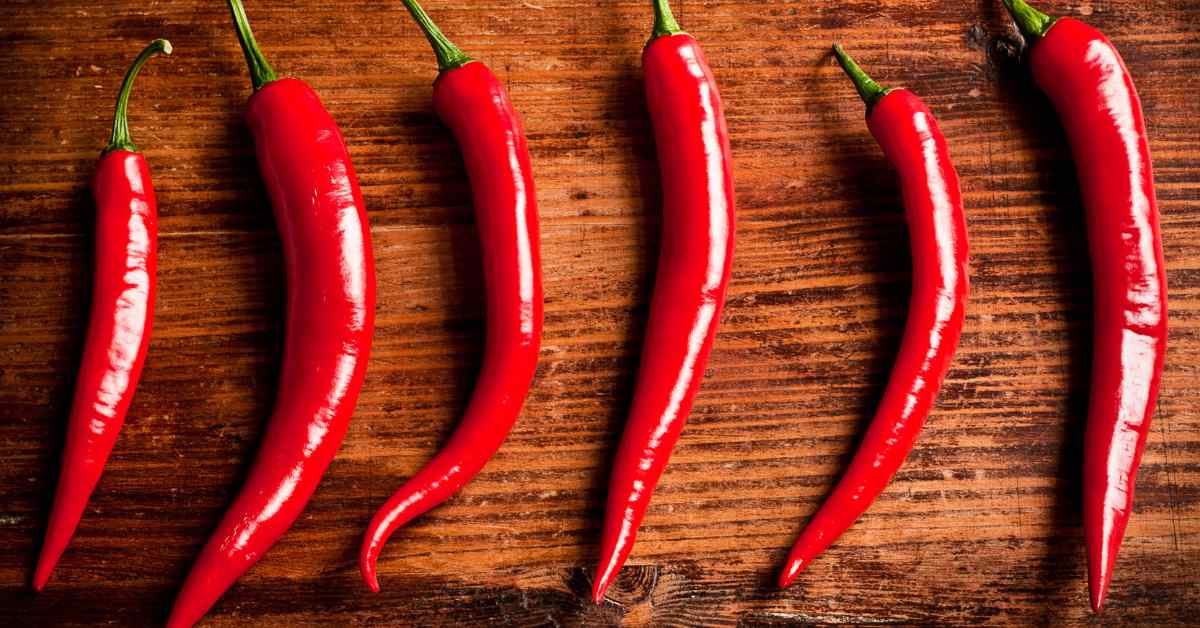 capsaicin for pain relief