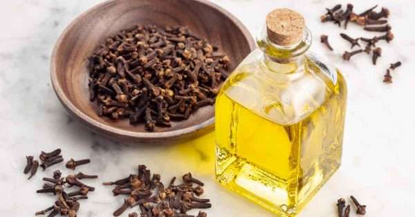 Beta-Caryophyllene for Pain