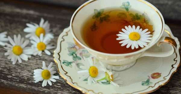 Chamomile for pain relief